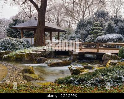 Winter im Japanischen Garten, Botanischer Garten Augsburg, Stockfoto