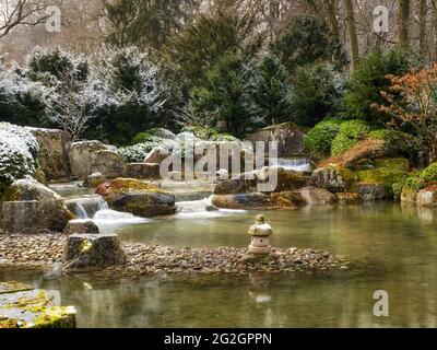 Winter im Japanischen Garten, Botanischer Garten Augsburg, Stockfoto