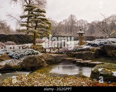 Winter im Japanischen Garten, Botanischer Garten Augsburg, Stockfoto