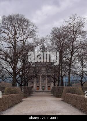 Wintermorgen im Hofgarten, München, Stockfoto