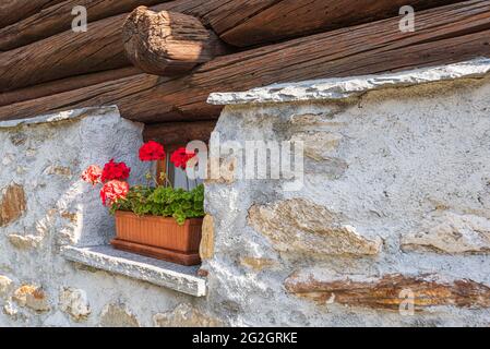 Impressionen von Lavertezzo im Verzasca-Tal, Bezirk Locarno, Kanton Tessin in der Schweiz: Beliebtes Ausflugsziel zum Wandern, Flusstauchen und Schwimmen. Historisches Stadtzentrum: Geranien vor einem Fenster. Stockfoto