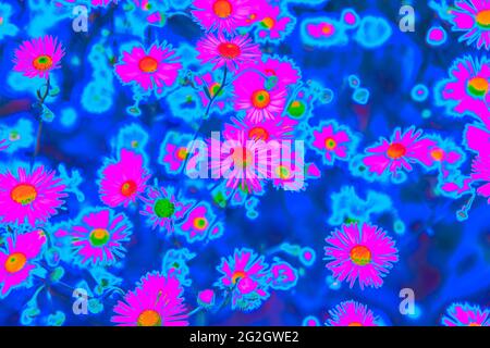 Leuchtend rosa holografische neonfarbene Sommerblumen Stockfoto