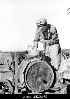 Migrantischer Tagelöhner Mischspray, um weiße Fliegen zu töten und Bohnenpflanzen zu nähren, in der Nähe von Belle Glade, Florida, USA, Marion Post Wolcott, U.S. Farm Security Administration, Januar 1939 Stockfoto