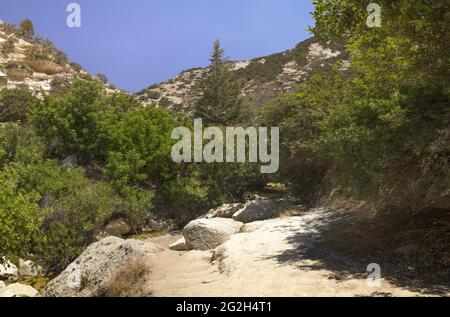 Wanderweg entlang des Flusses, umgeben von dichter Vegetation und steilen Klippen in der Avakas-Schlucht. Akamas-Halbinsel, Zypern. Stockfoto