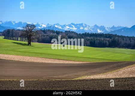 Deutschland, Bayern, Oberbayern, Tölzer Land, Münsing, Kreis Attenkam, Kulturlandschaft gegen Alpenkette Stockfoto