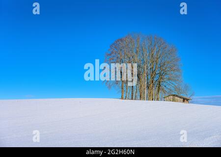 Deutschland, Bayern, Oberbayern, Tölzer Land, Dietramszell, Bezirk Baiernrain, Winterlandschaft Stockfoto