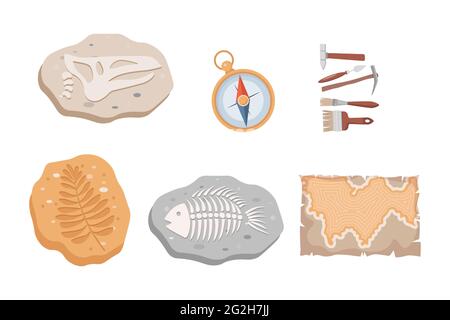 Fossile Fische und Dinosaurier Skelette und Pflanzen, Kompass, Karte und Archäologie-Tools Vektor flache Illustration isoliert auf weißem Hintergrund. Steinabschnitte mit Knochen und prähistorischen Kräutern. Stock Vektor