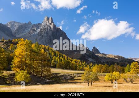 Herbst im Vallée de la Clarée, im Hintergrund die Berge Roches de Crépin, bei Névache, Frankreich, Provence-Alpes-Côte d'Azur, Dep. Hautes-Alpes Stockfoto