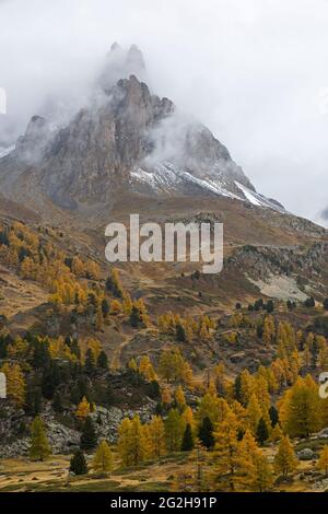 Herbst im Vallée de la Clarée, Berg La Main de Crépin in den Wolken, in der Nähe von Névache, Frankreich, Provence-Alpes-Côte d'Azur, Dep. Hautes-Alpes Stockfoto