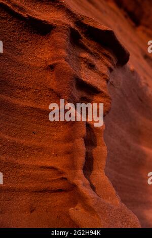 Sandsteinfelsen im Abendlicht, Burg Falkenstein bei Philippsbourg, Frankreich, Region Grand Est, Moselabteilung, Naturpark Nordvogesen Stockfoto