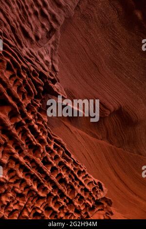 Sandsteinfelsen im Abendlicht, Burg Falkenstein bei Philippsbourg, Frankreich, Region Grand Est, Moselabteilung, Naturpark Nordvogesen Stockfoto