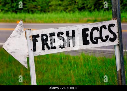 Ein Schild wirbt für frische Eier, 10. Juni 2021, in Grand Bay, Alabama. Die Gemeinde mit 3,672 Einwohnern ist überwiegend ländlich. Stockfoto