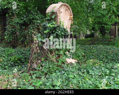 Alter Grabstein auf einem verlassenen Friedhof, Grabstein mit Efeu bedeckt, Olsany Friedhof in Prag Stockfoto