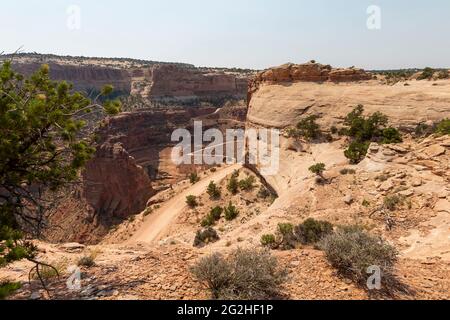 Shafer Canyon Overlook im Canyonlands National Park, Utah, USA Stockfoto