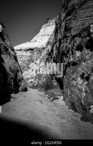 Auf dem Capitol Gorge Trailhead am Ende des Scenic Drive im Capitol Reef National Park, Utah, USA Stockfoto