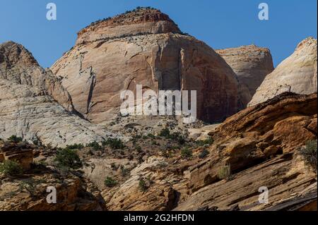 Auf dem Capitol Gorge Trailhead am Ende des Scenic Drive im Capitol Reef National Park, Utah, USA Stockfoto