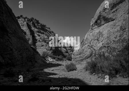 Auf dem Capitol Gorge Trailhead am Ende des Scenic Drive im Capitol Reef National Park, Utah, USA Stockfoto