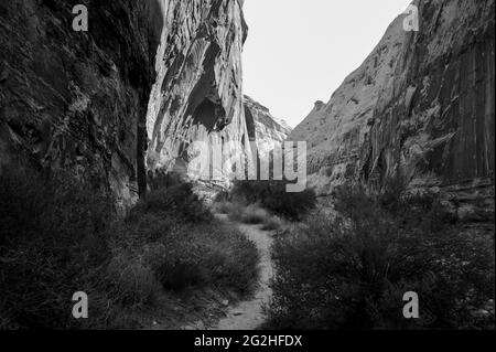 Auf dem Capitol Gorge Trailhead am Ende des Scenic Drive im Capitol Reef National Park, Utah, USA Stockfoto