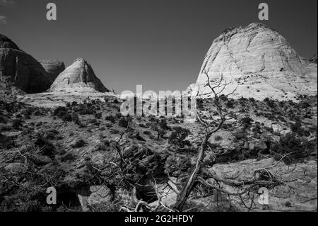 Auf dem Capitol Gorge Trailhead am Ende des Scenic Drive im Capitol Reef National Park, Utah, USA Stockfoto