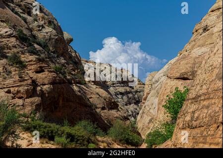 Auf dem Capitol Gorge Trailhead am Ende des Scenic Drive im Capitol Reef National Park, Utah, USA Stockfoto