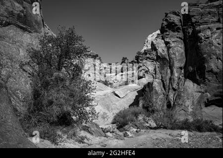 Auf dem Capitol Gorge Trailhead am Ende des Scenic Drive im Capitol Reef National Park, Utah, USA Stockfoto