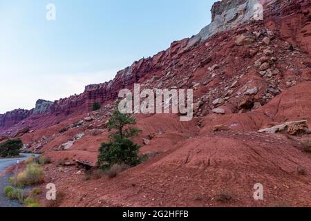 Auf dem berühmten Scenic Drive im Capitol Reef National Park, Utah, USA. 7.9 Meilen (12.7 km) asphaltierte Straße, geeignet für Personenkraftwagen. Machen Sie etwa eineinhalb Stunden hin- und Rückfahrt, um den Scenic Drive und die beiden Schotterstraßen Grand Wash und Capitol Gorge zu fahren. Diese Schotterpisten führen in Schluchten zu Trailheads und sind in der Regel für Pkw und Wohnmobile bis zu 27 Fuß Länge geeignet.Neben Pectols Pyramid und Golden Throne. Stockfoto