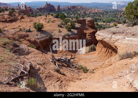 Wanderung durch den Angel's Palace Trail im Kodakchrome Basin State Park, Utah, USA. Stockfoto