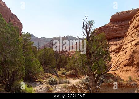 Wanderung durch den Angel's Palace Trail im Kodakchrome Basin State Park, Utah, USA. Stockfoto