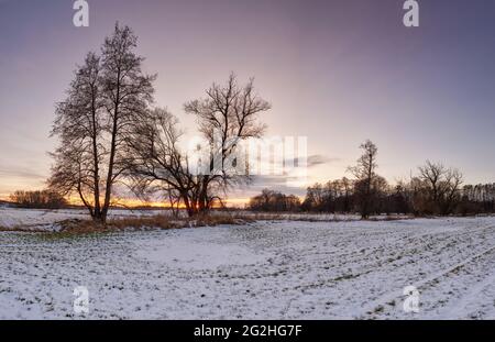 Wintertag in den Schmutterauen, Naturpark Augsburger Westwälder, Stockfoto