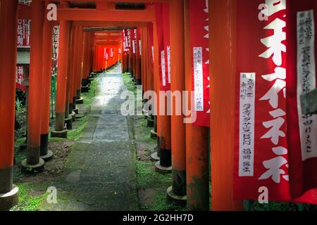 Blick durch den Torii-Toreingang eines Schreins in Kamakura, Japan. Stockfoto