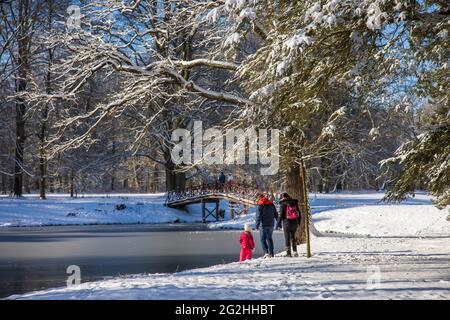 Winter im Pücklerpark Branitz Stockfoto