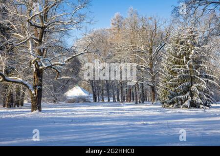 Landpyramide im Pücklerpark Branitz Stockfoto