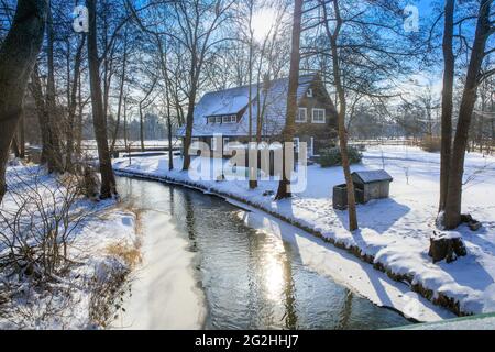 Winterruhe im Spreewald Stockfoto