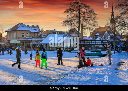 Eisläufer im Spreewald Stockfoto