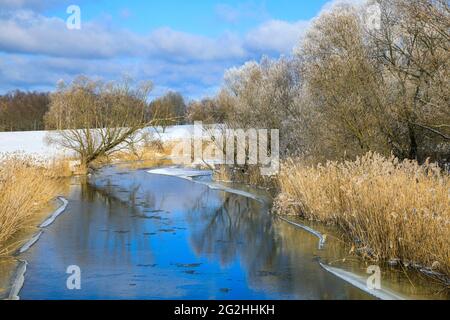 Winterlicher Spreewald Stockfoto