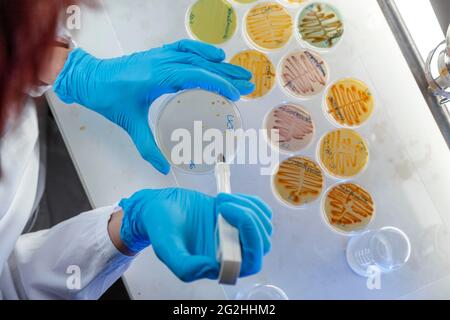 SYNLAB geht an die Öffentlichkeit Stockfoto