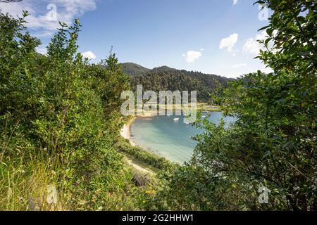 Ruapani Circuit, lange und anstrengende Wanderung durch den Dschungel zum Lake Waikareiti im Te Urewera National Park, North Island, Neuseeland Stockfoto