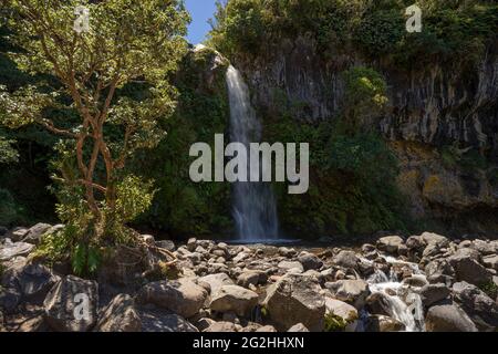 Dawson Falls, Wasserfälle auf Mount Taranaki, New Plymouth Province, North Island, Neuseeland Stockfoto
