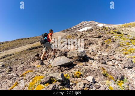 Besteigung des Mount Taranaki im Egmont National Park in Abendstimmung, Provinz New Plymouth, Nordinsel Neuseeland Stockfoto