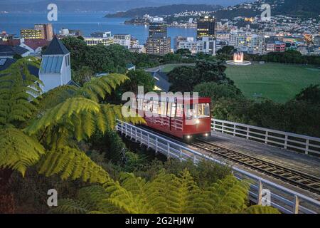 Wellington Cable Car fährt ab 1898 in den Stadtteil Kelburn, Provinz Wellington, Nordinsel, Neuseeland Stockfoto