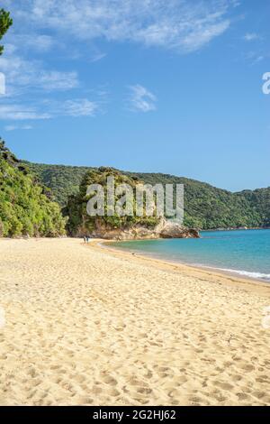 Mutton Cove Camp, Abel Tasman Coast Track im Abel Tasman National Park, Nelson / Tasman Region, Südinsel, Neuseeland Stockfoto