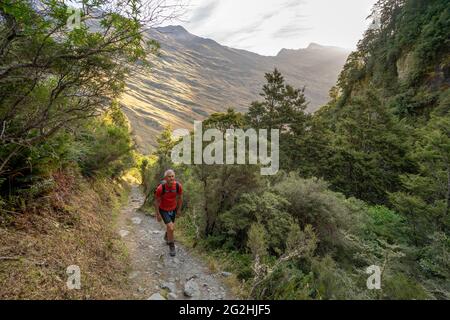 Wandern Sie zum Rob Roy Glacier Lookout, einer beeindruckenden Schlucht mit Blick auf den Gletscher in der Nähe von Wanaka, Südinsel, Queenstown-Lakes District, Neuseeland Stockfoto