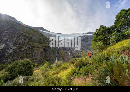 Wandern Sie zum Rob Roy Glacier Lookout, einer beeindruckenden Schlucht mit Blick auf den Gletscher in der Nähe von Wanaka, Südinsel, Queenstown-Lakes District, Neuseeland Stockfoto