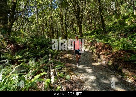 Wandern Sie zum Rob Roy Glacier Lookout, einer beeindruckenden Schlucht mit Blick auf den Gletscher in der Nähe von Wanaka, Südinsel, Queenstown-Lakes District, Neuseeland Stockfoto