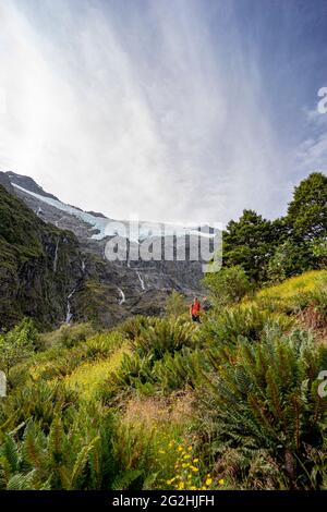 Wandern Sie zum Rob Roy Glacier Lookout, einer beeindruckenden Schlucht mit Blick auf den Gletscher in der Nähe von Wanaka, Südinsel, Queenstown-Lakes District, Neuseeland Stockfoto