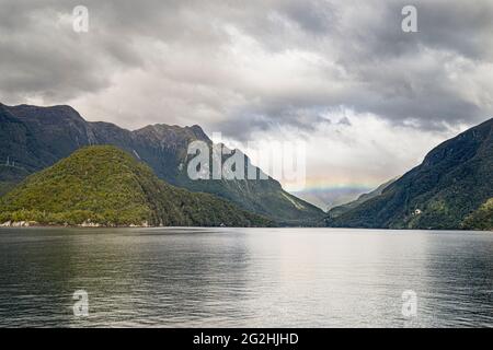 Urwald auf Doubtful Sound, Südinsel, Neuseeland Stockfoto