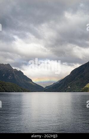 Urwald auf Doubtful Sound, Südinsel, Neuseeland Stockfoto