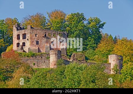 Burgruine Freienstein, 12. Jahrhundert, Beerfelden, Bezirk Gammelsbach, Odenwald, Hessen, Deutschland Stockfoto