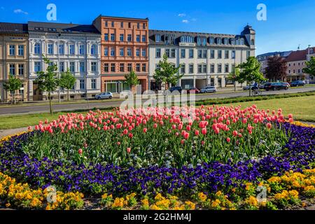 Cottbus Brandenburger Platz Stockfoto