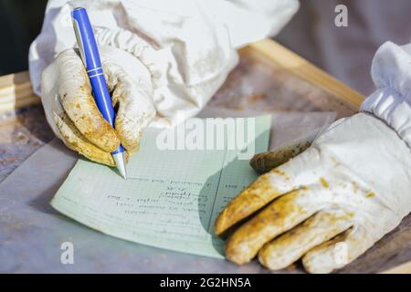 Bio-Imker, der Bienenstöcke wechselt Stockfoto